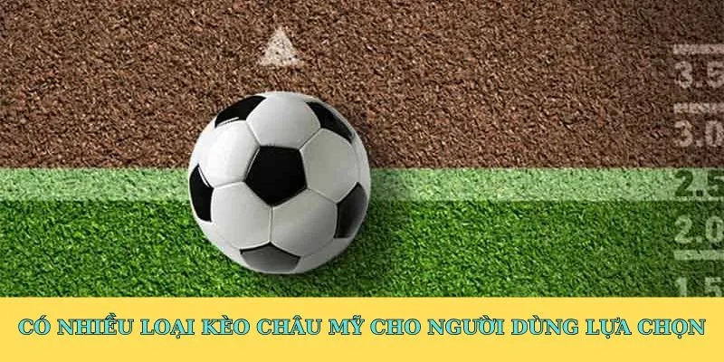 Có nhiều loại kèo châu Mỹ cho người dùng lựa chọn