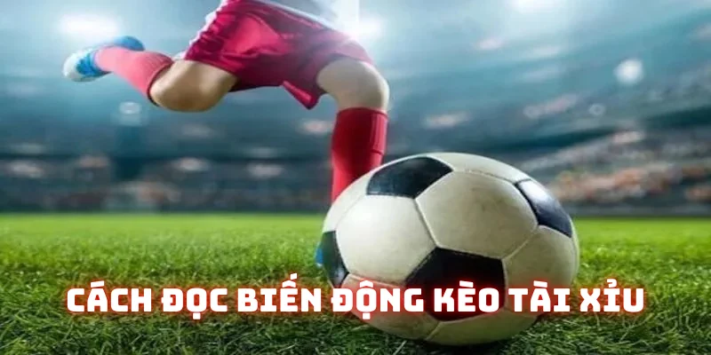 Đọc biến động tỷ lệ kèo Tài Xỉu (Over/Under)