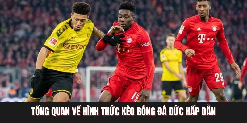 Tổng quan về hình thức kèo bóng đá Đức hấp dẫn